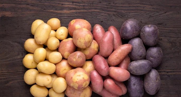 Batata oferece fibras, antioxidantes e ajuda a controlar pressão, peso e diabetes - Imagem do artigo