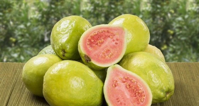 Goiaba reúne fibras, vitaminas e antioxidantes e traz diversos benefícios à saúde - Imagem do artigo